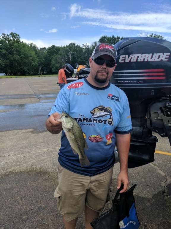 IMG_20170618_141515.jpg IMG_20170618_141515.jpg