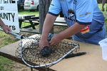 DD Derby 2019 0016.JPG