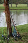 IMG_3912.JPG