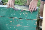 IMG_4030.JPG