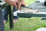 2015MRDDFishingDerby-Image033.jpg