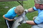 IMG_4242.JPG