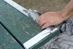 2015MRDDFishingDerby-Image042.jpg