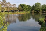 2017YOUTH-Derby022.JPG